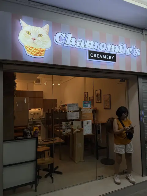 Chamomile's Creamery — 发光立体店面招牌 · Illuminated 3D shopfront